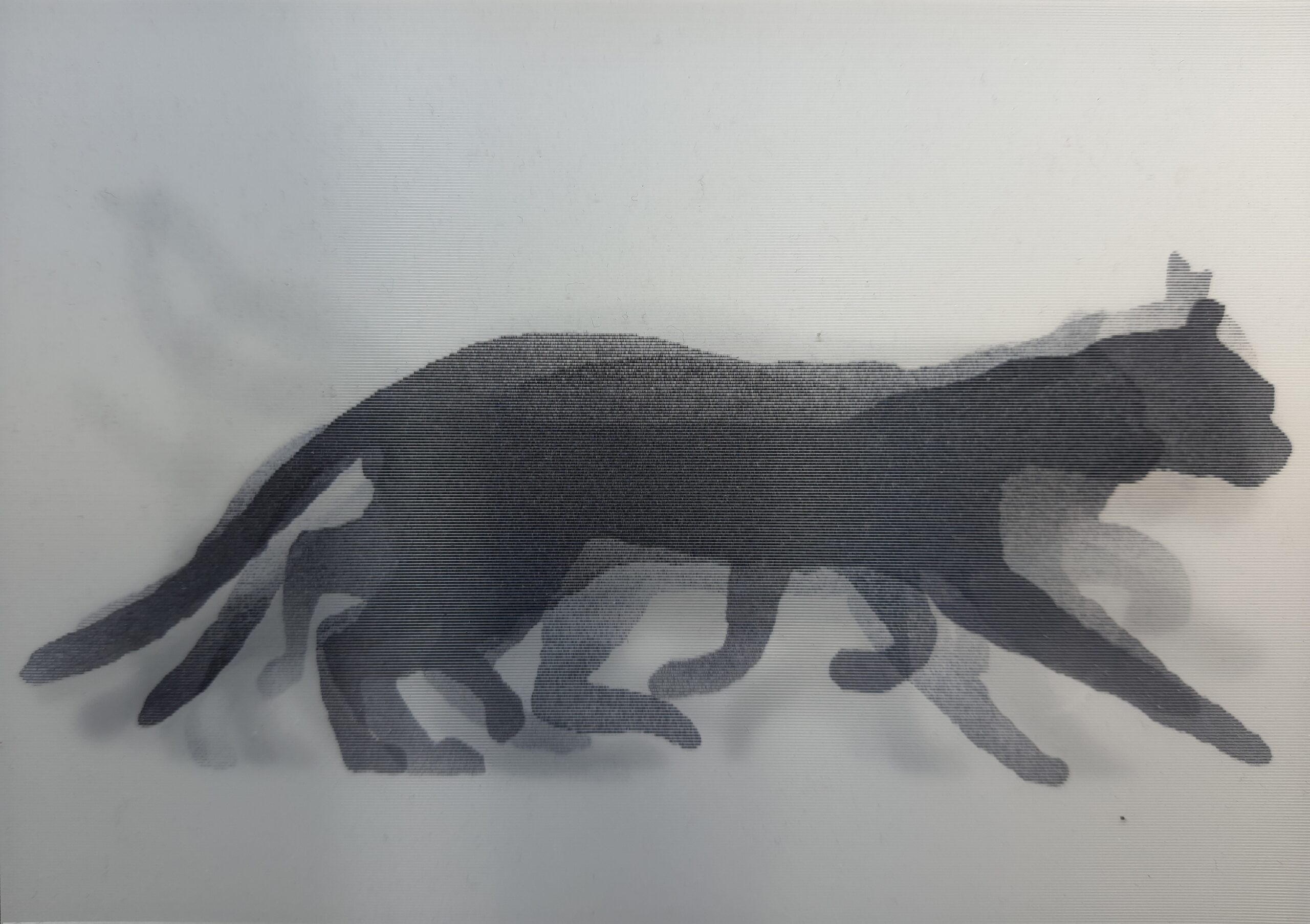 LECTURE: The hunt for Schrödinger’s cat: From de Broglie to quantum computers alt